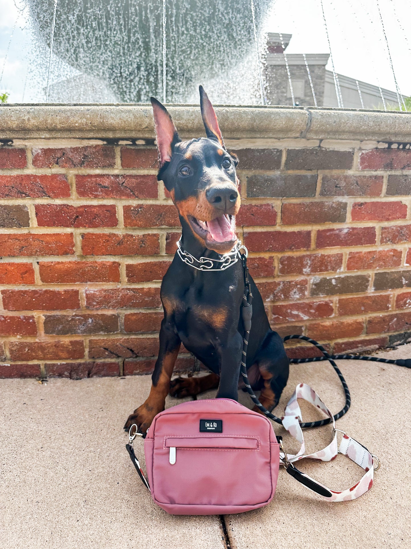 Dusty Rose with Pouch